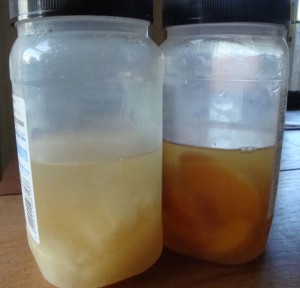 How Eating Peaches And Pears Helps Save Me £1000
